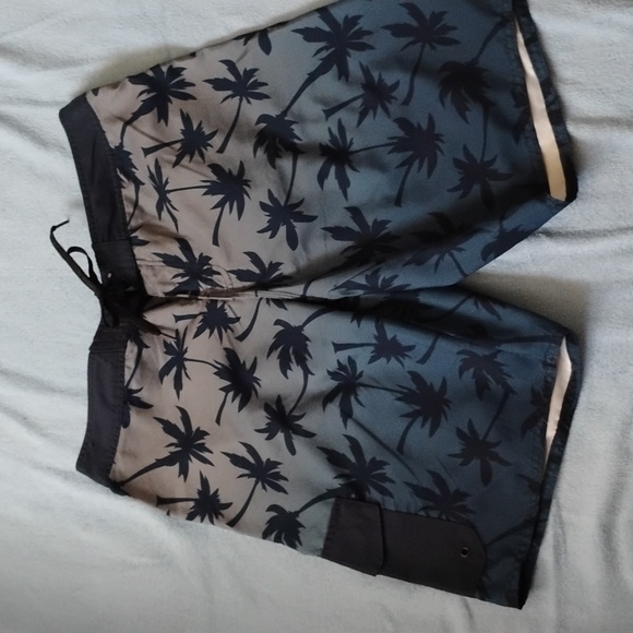 3/$25 Hang Ten Swim Trunks - Picture 1 of 6